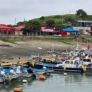 장군태양광발전소1 이미지