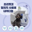 임수의과병원 | [알러지&amp;면역사료] 프리벳코 A/i 처방식 사료와 스킨케어 영양제 후기