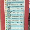 대관령 양떼목장, 강릉 당일치기 여행 일주일만에 쓰는 후기 (노잼주의) +버스 시간표 추가 이미지