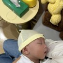 딤플 | 아산 신도시이진병원 아기 딤플 초음파 후기