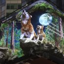 (주)테크빌리지 이미지