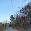 부길농장 이미지