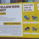 퍼피월드제주 이미지