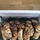 고바우식당 이미지