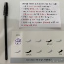엘라아이래쉬