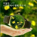 지혜네 세탁소 이미지