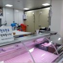 다가온정육 이미지