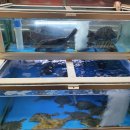 1번가횟집 이미지