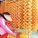 이재혁 농장 이미지