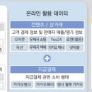 카카오이니시스