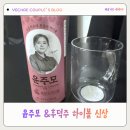 모하이 | 세븐일레븐 하이볼 신상 후기 윤주모 복분자 막걸리 후덕죽 유자 고량주 솔직 리뷰