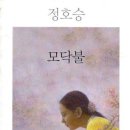 모닥불/정호승/열림원/182쪽 이미지