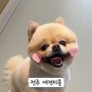 아로멍 이미지