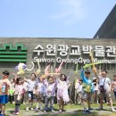 새알곡유치원 이미지