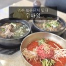 경주한우물회 + 한우 목갈비탕! 우마왕 경주본점 솔직후기
