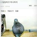 숨쉬는순두부타임스퀘어