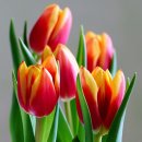 미사박사공인중개사사무소 이미지