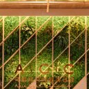 2019 ACC 빅도어 시네마 7월 | 2022년 ACC 공식 블로그 인기글 TOP 5!!