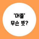 머즐(Muzzle) 이미지