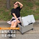 20 | 알벡스 캐리어 노바 알루미늄 20인치 후기 기내용 캐리어 추천