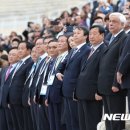 프로코티 이미지