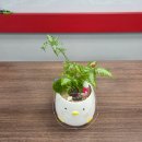 백양종합사회복지관 이미지