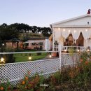 아드레이 이미지