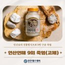 죽염 인산가 인산인해 설날 명절 부모님 선물 면역 비타민 구매 사이트 인산죽염 가격 효과 내돈내산 후기