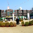 대전원평초등학교 이미지