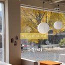 내서초등학교 | 창원카페|은행나무 뷰 커피맛집 ‘자갈커피’(25.11.16.실시간)/내서카페/창원가을여행