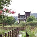 주암호 생태습지 이미지