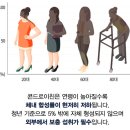 K-플러스 네이버블로그