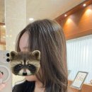 미헤어 | 진주 혁신 미용실 애쉬브라운 염색 잘하는 곳, 스탠바이미 헤어 만족 후기