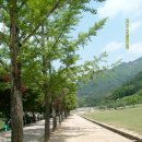 진영중학교 이미지