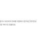 피니진 네이버블로그