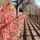 경천 갈매길 이미지