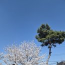 세븐일레븐 홍성파밀리에점 네이버블로그