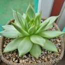 옥상 이야기 이미지