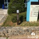 (주)도시와 숲 이미지