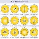 Therapy헤어 이미지