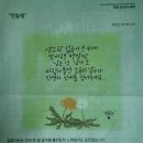 민들레 공인중개사사무소 이미지