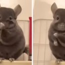 플레이인더박스 이미지