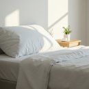 지성세탁 이미지