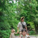 포레스트선흘