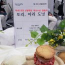 20240422_제1회 과천맛집 선발대회 취재 결과(토리, 아리 도넛) 이미지