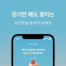 11월의 베이크 네이버블로그
