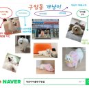 개냥이아울렛 - 서구 관저로 175 | 개냥이아울렛