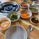 폭포펜션 | [애견동반]포천 호수민물매운탕, 한탄강 Y자형출렁다리, 비둘기낭폭포, 쪽박소펜션 내돈내산 후기