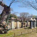 유당공원 내 비군 이미지