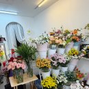 송정백제약국 이미지